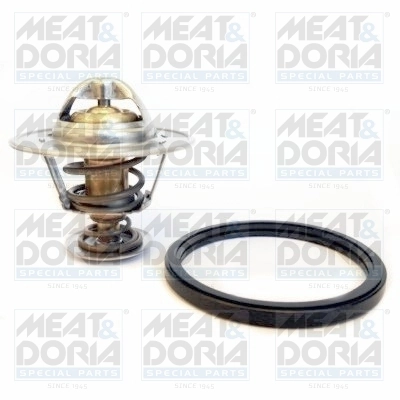Thermostat, coolant